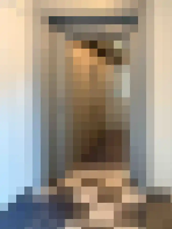 Hendrik Veenemanstraat 3 f Son en Breugel thumbnail 4