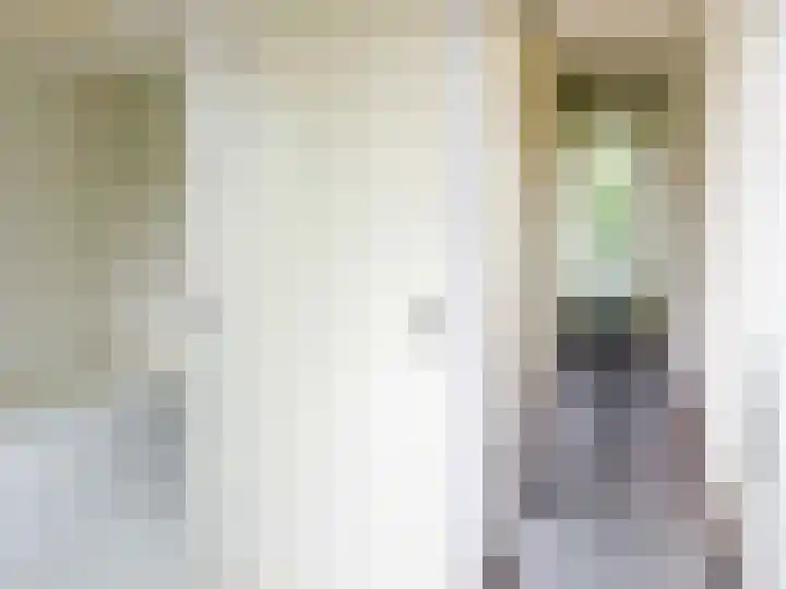 Hendrik Veenemanstraat 3 f Son en Breugel thumbnail 5