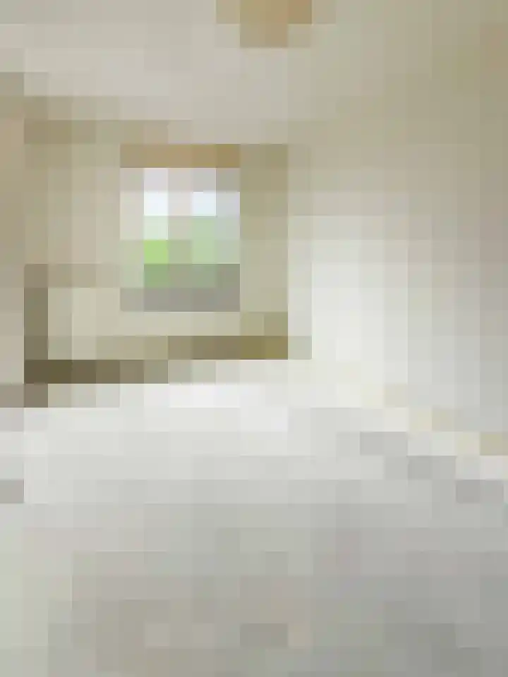 Hendrik Veenemanstraat 3 f Son en Breugel thumbnail 6