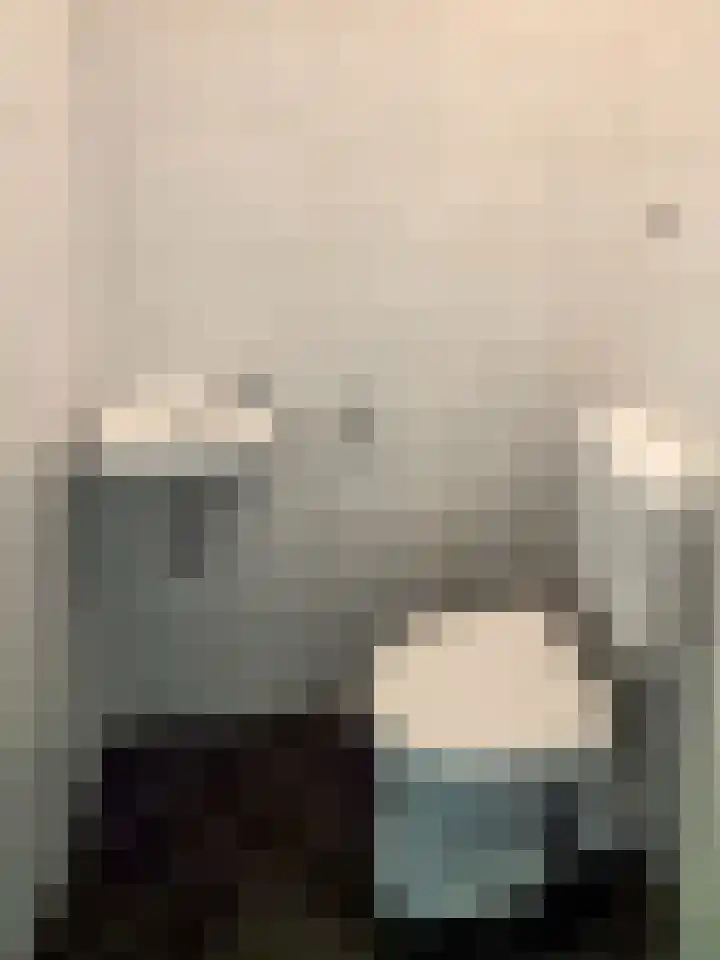 Hendrik Veenemanstraat 3 f Son en Breugel thumbnail 7