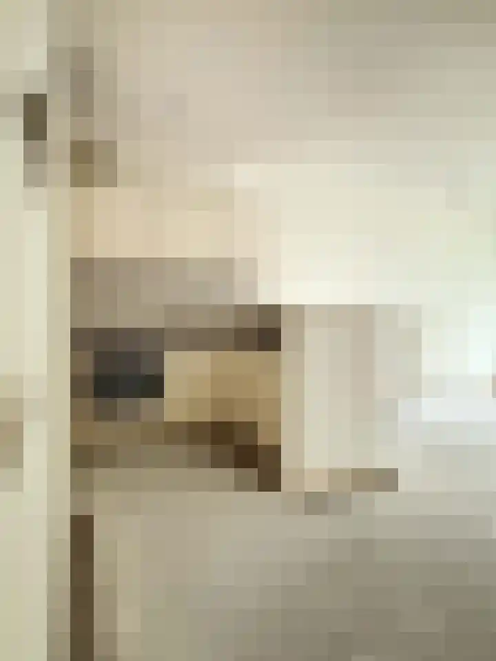 Hendrik Veenemanstraat 3 f Son en Breugel thumbnail 8