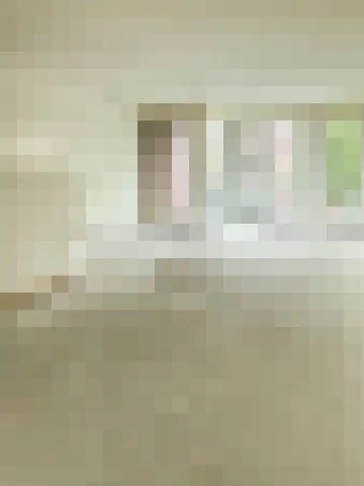 Hendrik Veenemanstraat 3 f Son en Breugel thumbnail 9