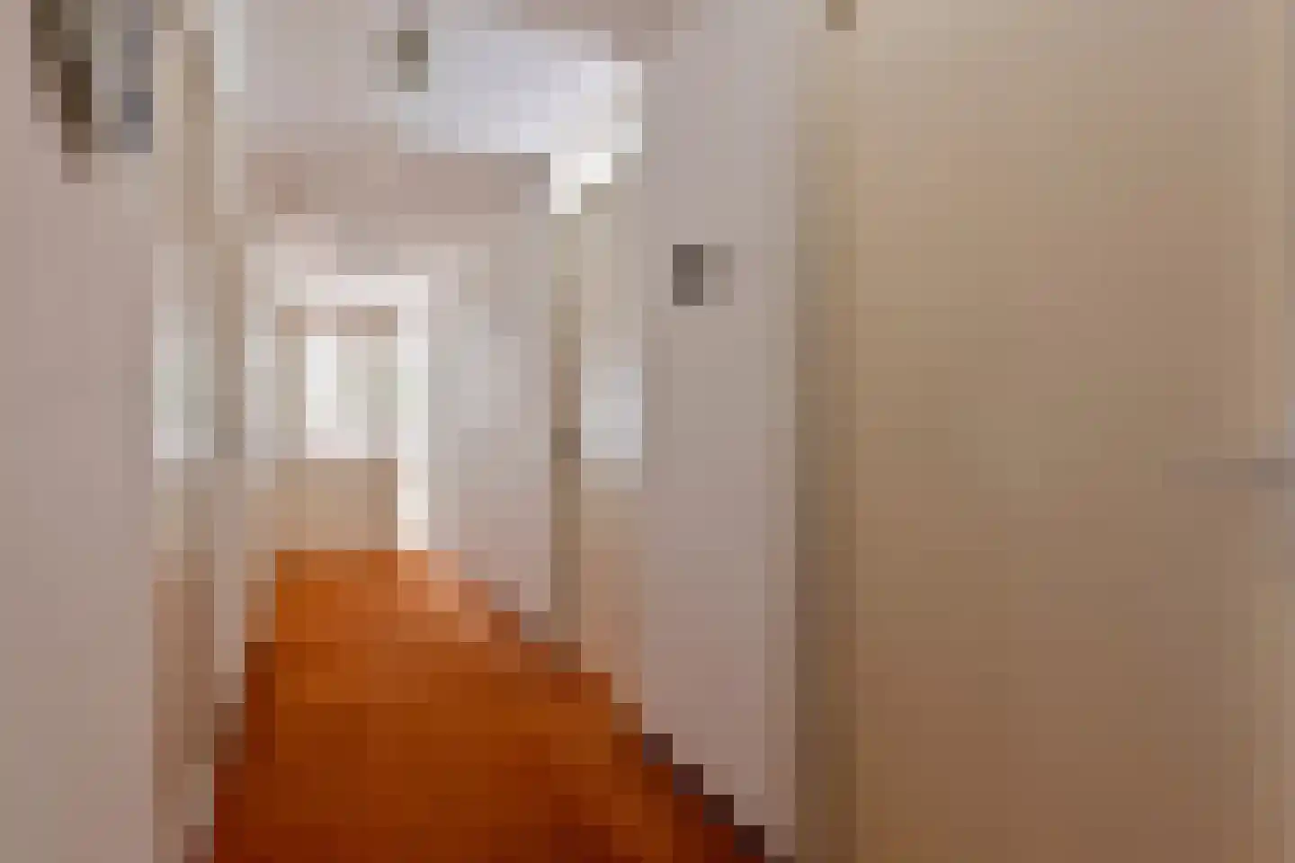 Hendrik Veenemanstraat 4 e Son en Breugel thumbnail 12