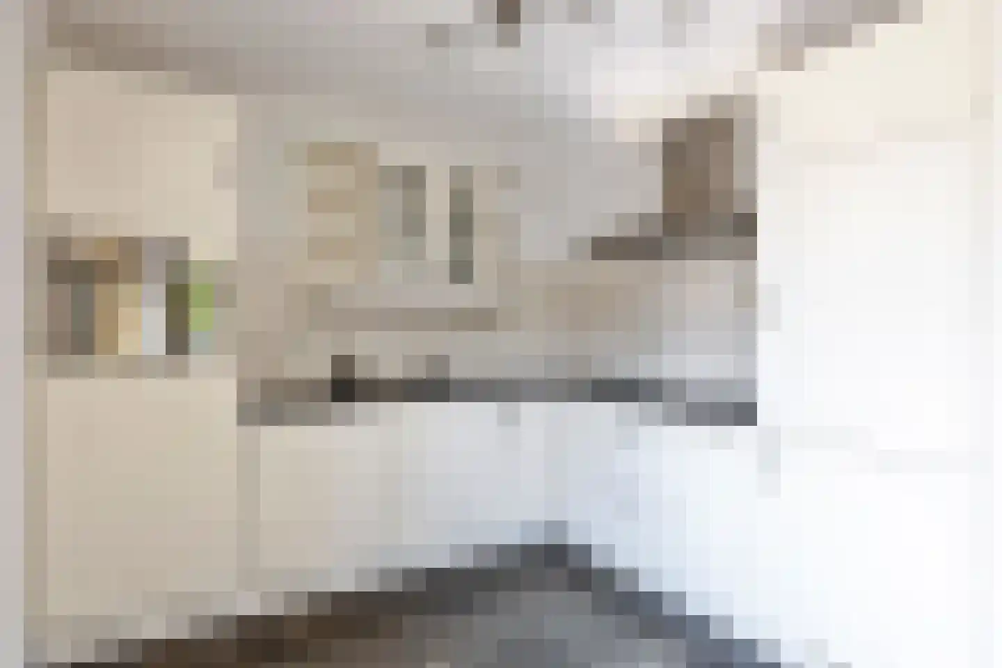 Hendrik Veenemanstraat 4 e Son en Breugel thumbnail 22