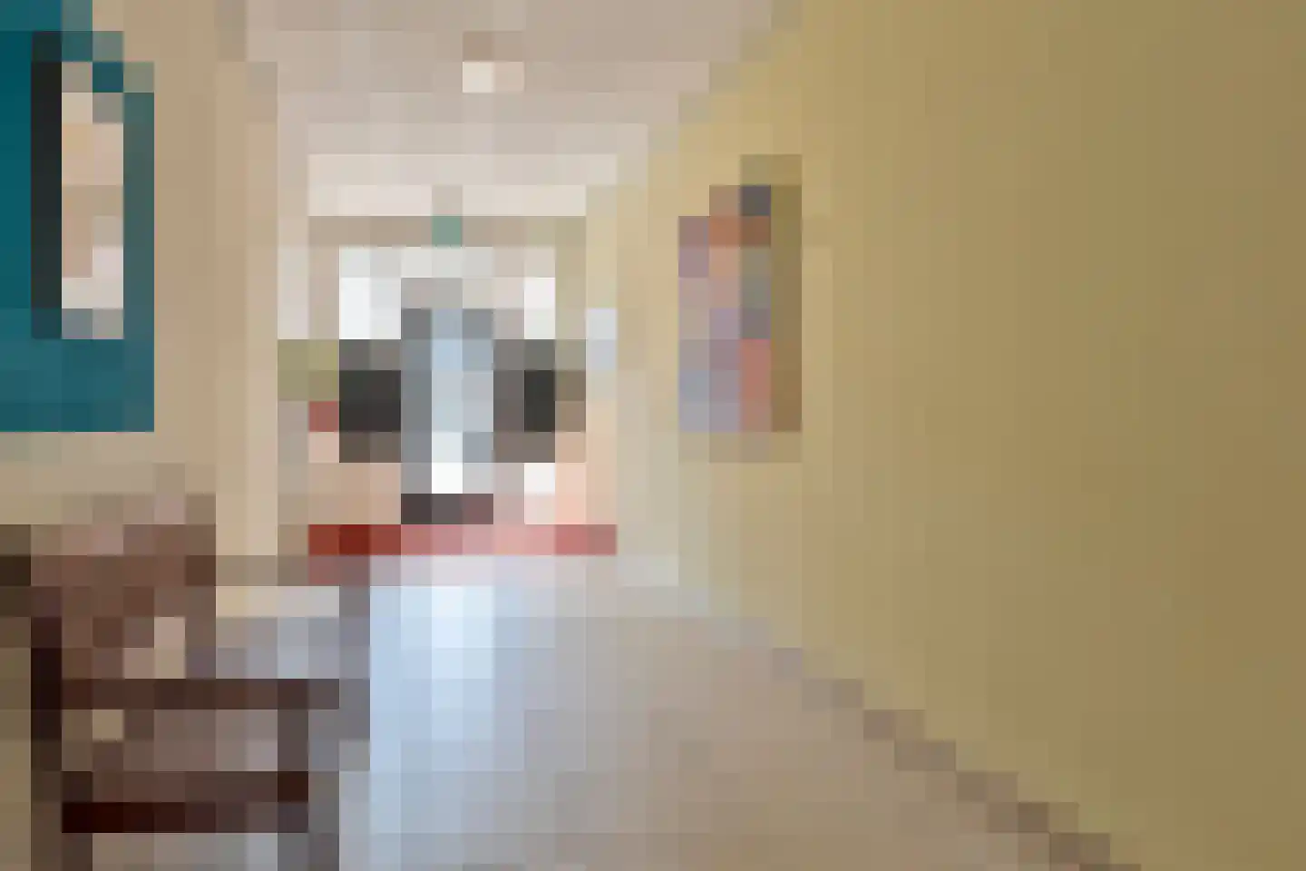Hendrik Veenemanstraat 4 e Son en Breugel thumbnail 6