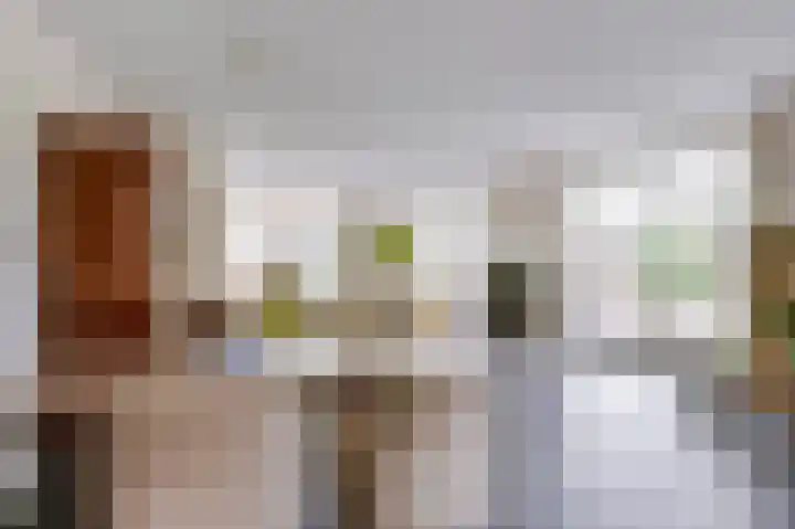 Hendrik Veenemanstraat 42 Son en Breugel thumbnail 12