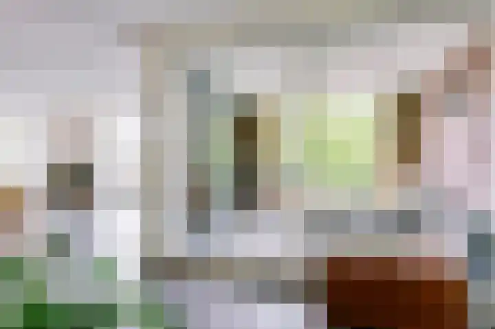 Hendrik Veenemanstraat 42 Son en Breugel thumbnail 13