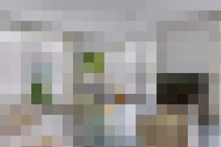 Hendrik Veenemanstraat 42 Son en Breugel thumbnail 17