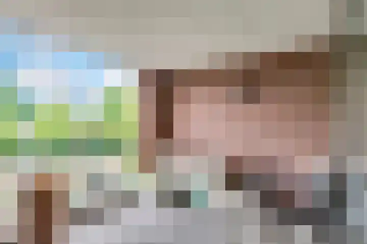 Hendrik Veenemanstraat 42 Son en Breugel thumbnail 4