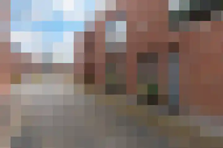 Hendrik Veenemanstraat 42 Son en Breugel thumbnail 47