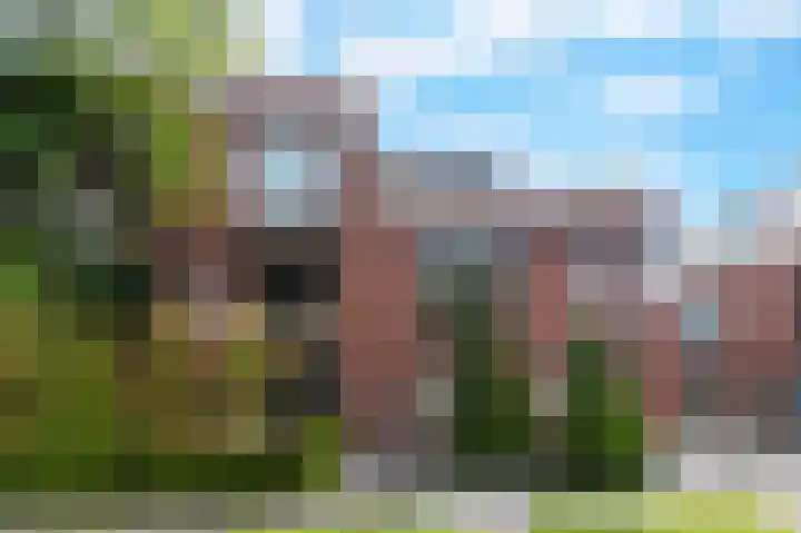 Hendrik Veenemanstraat 42 Son en Breugel thumbnail 59