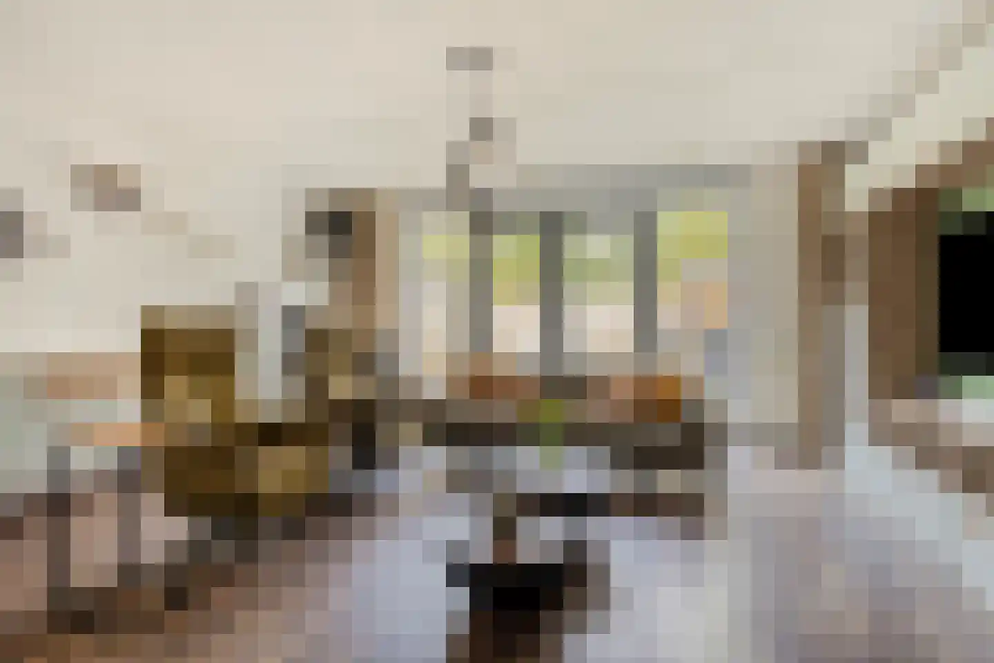 Hendrik Veenemanstraat 52 Son en Breugel thumbnail 10