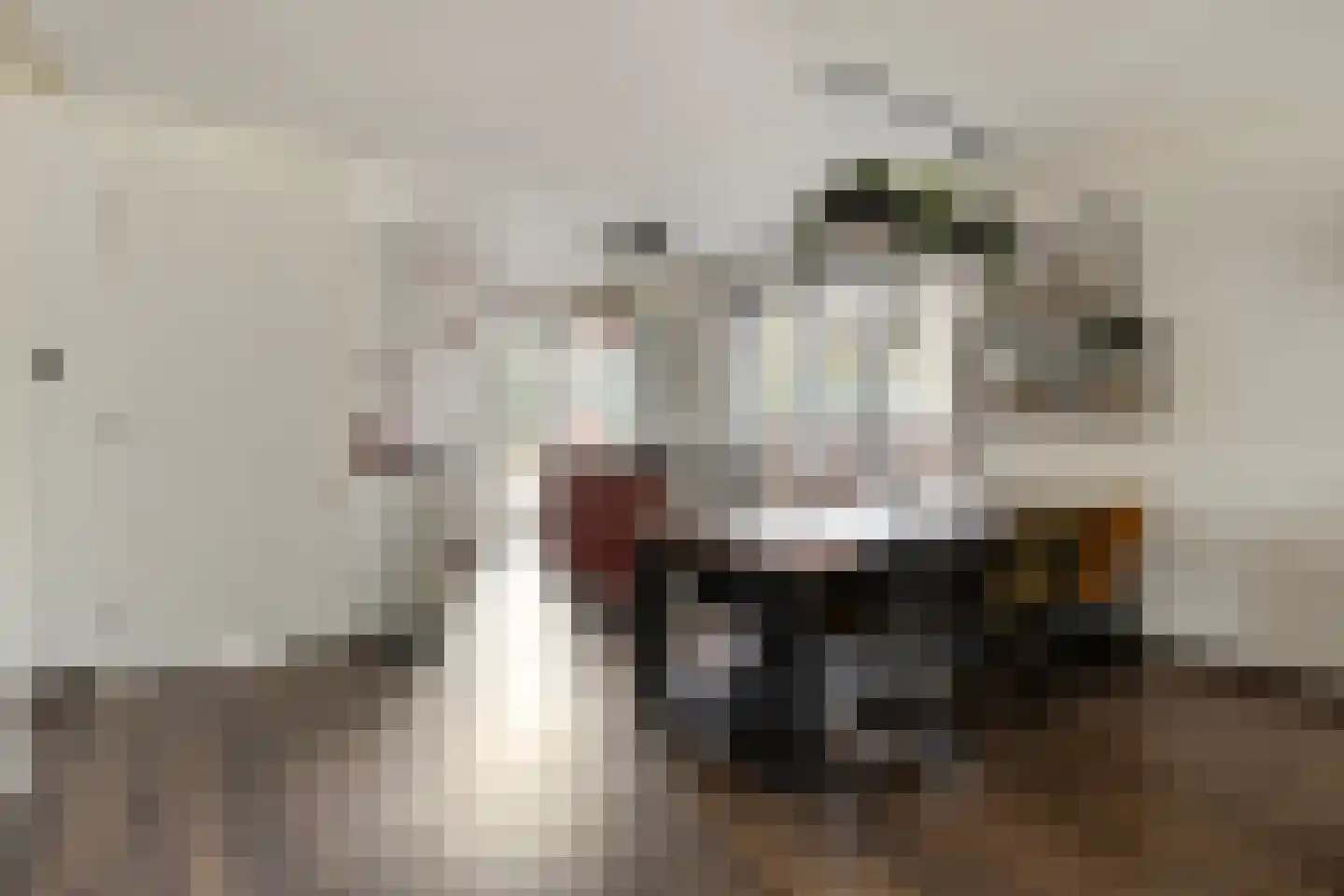 Hendrik Veenemanstraat 52 Son en Breugel thumbnail 14