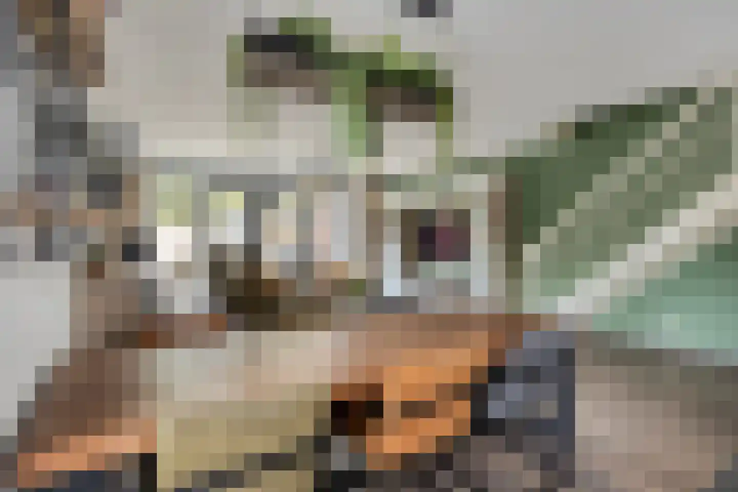 Hendrik Veenemanstraat 52 Son en Breugel thumbnail 15