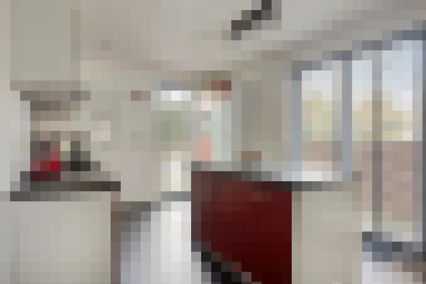Hendrik Veenemanstraat 52 Son en Breugel thumbnail 16