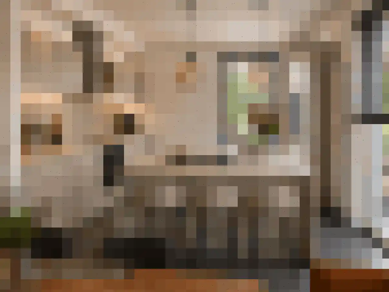 Hendrik Veenemanstraat 52 Son en Breugel thumbnail 19