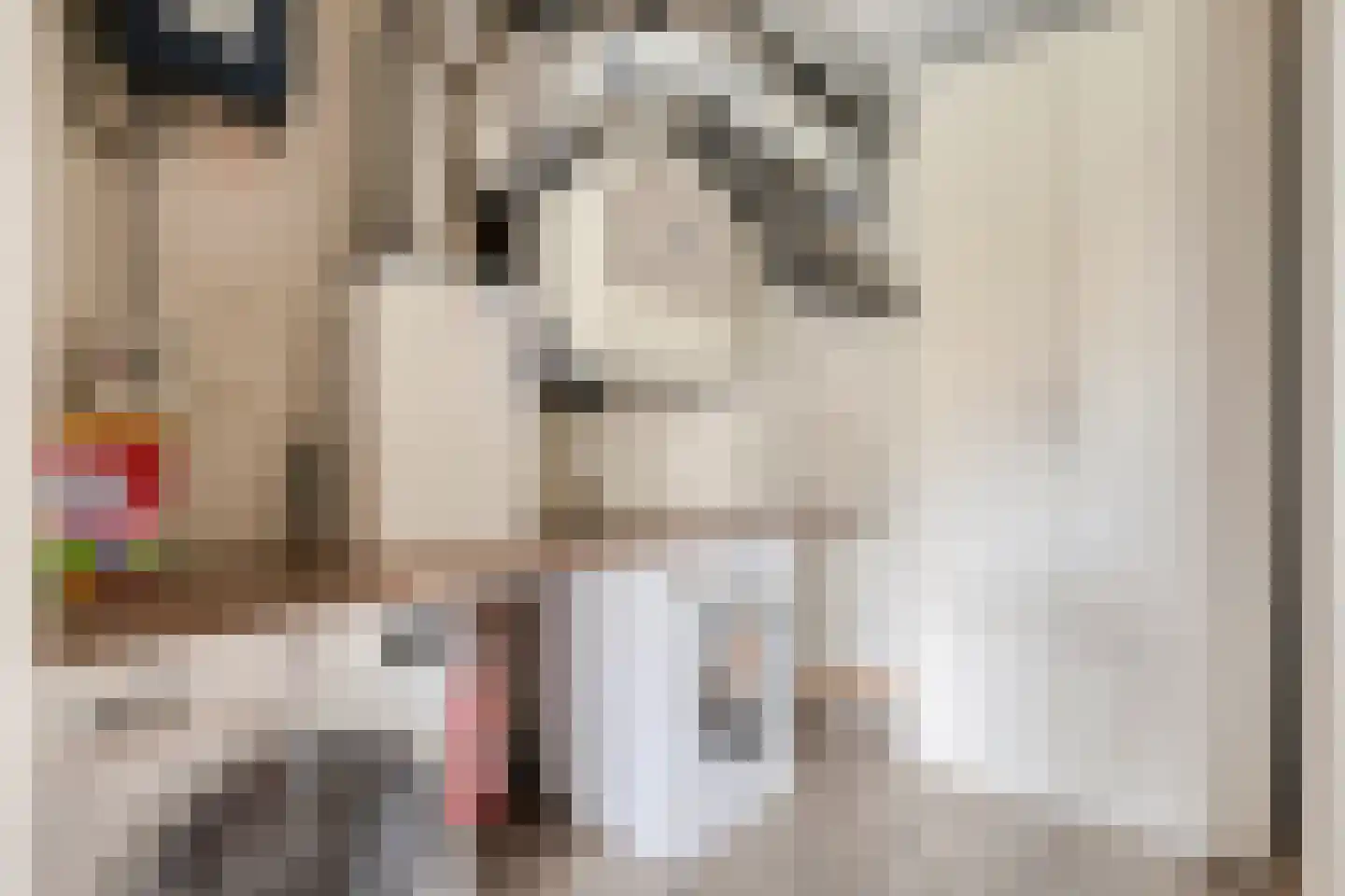 Hendrik Veenemanstraat 52 Son en Breugel thumbnail 30