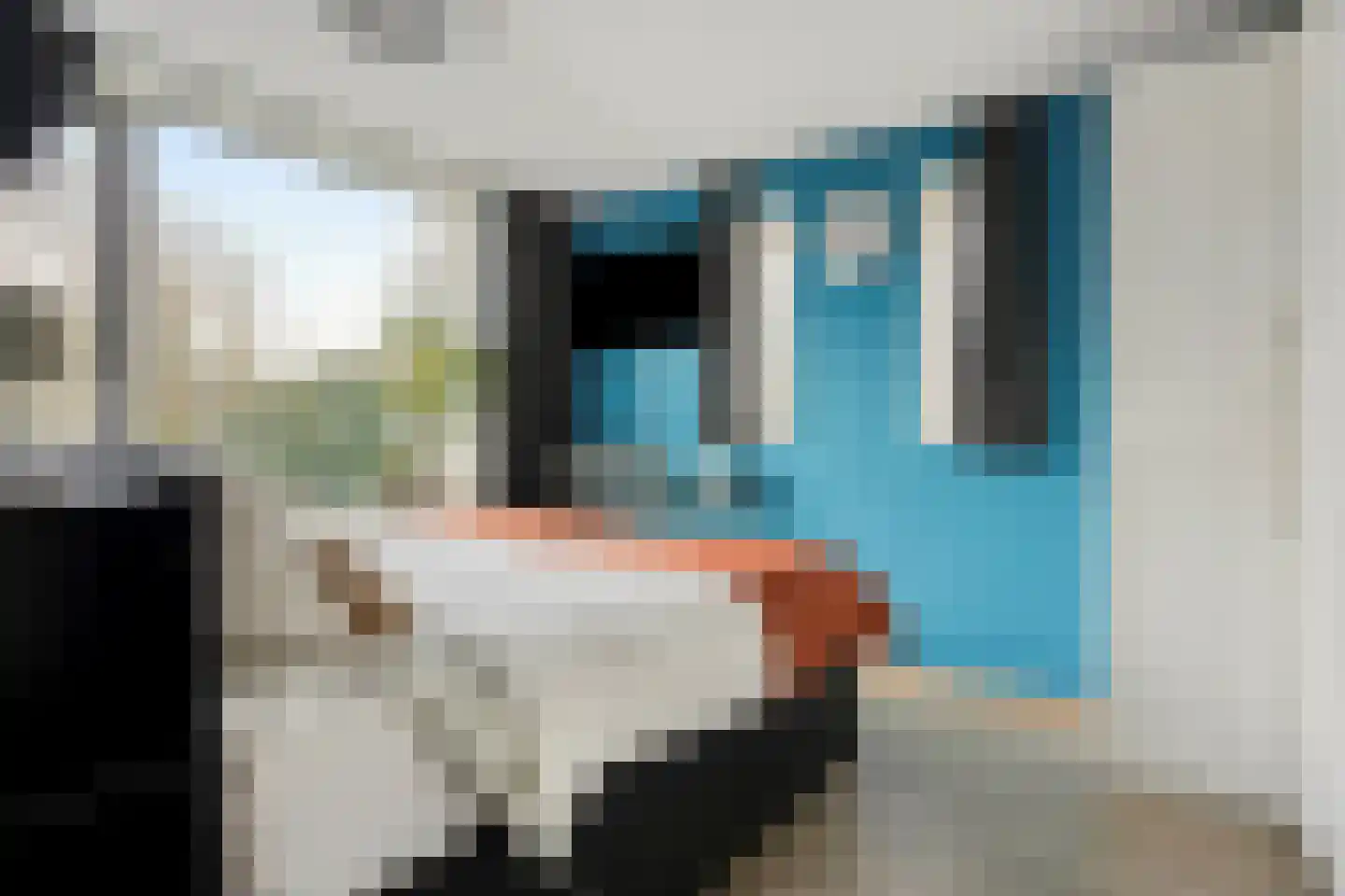 Hendrik Veenemanstraat 52 Son en Breugel thumbnail 4