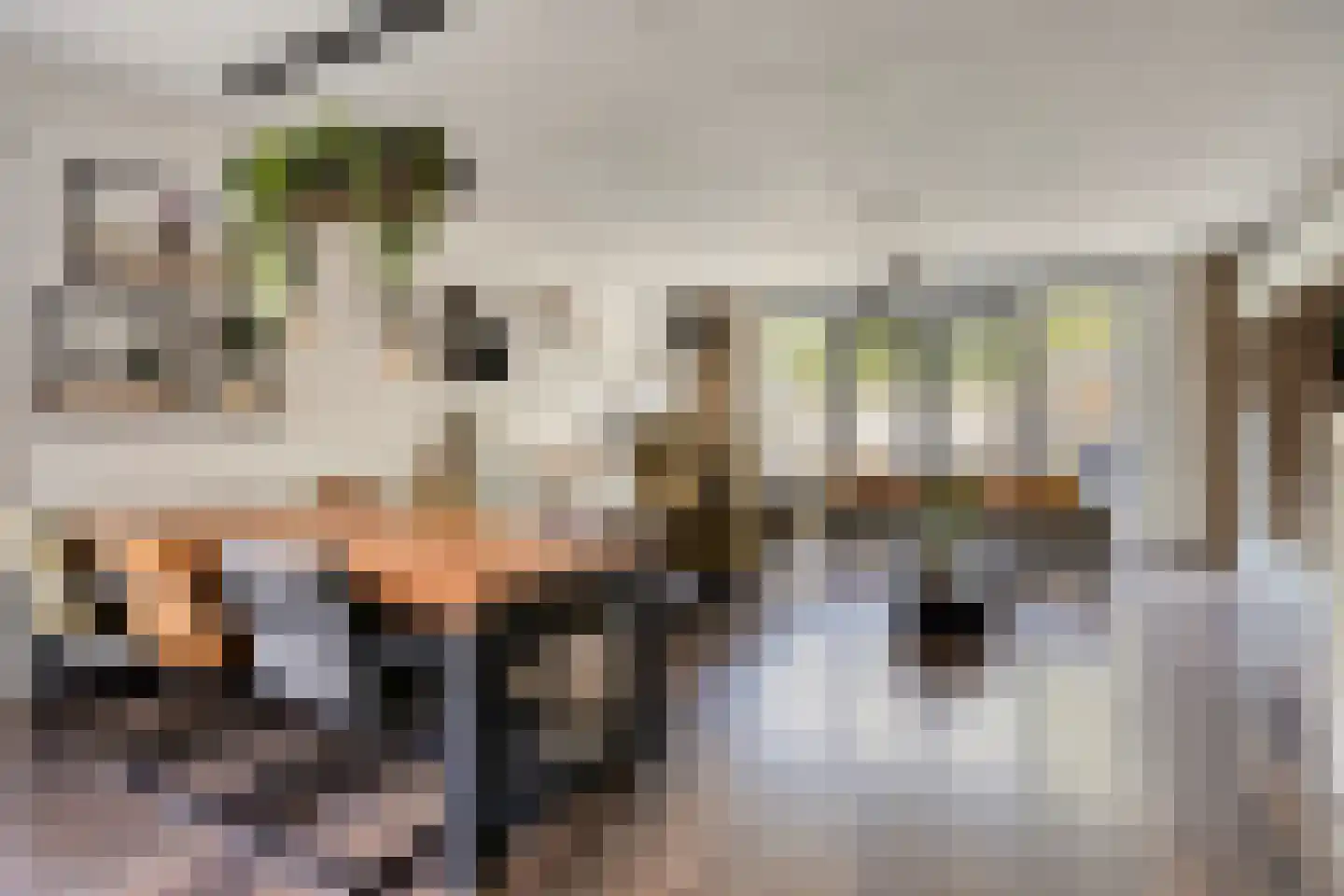 Hendrik Veenemanstraat 52 Son en Breugel thumbnail 9