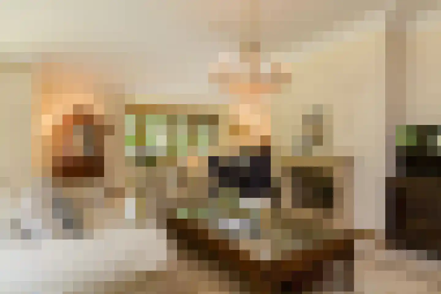 Hendrik Veenemanstraat 55 Son en Breugel thumbnail 14