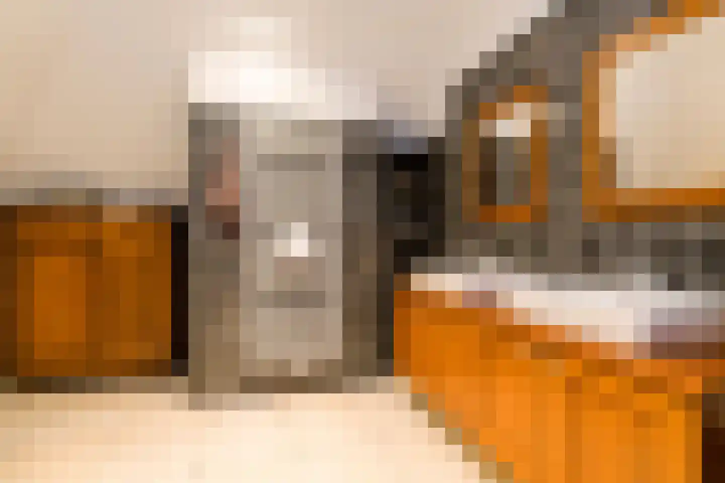 Hendrik Veenemanstraat 55 Son en Breugel thumbnail 28
