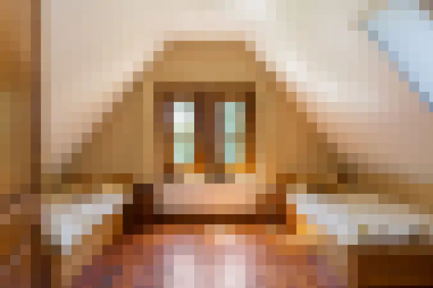 Hendrik Veenemanstraat 55 Son en Breugel thumbnail 29