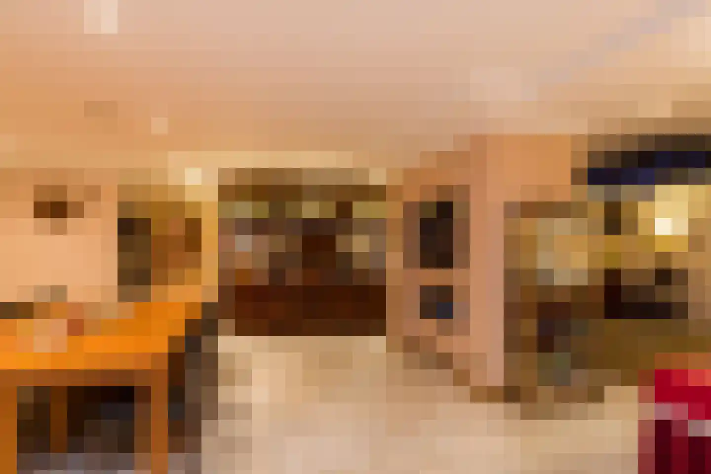Hendrik Veenemanstraat 55 Son en Breugel thumbnail 33