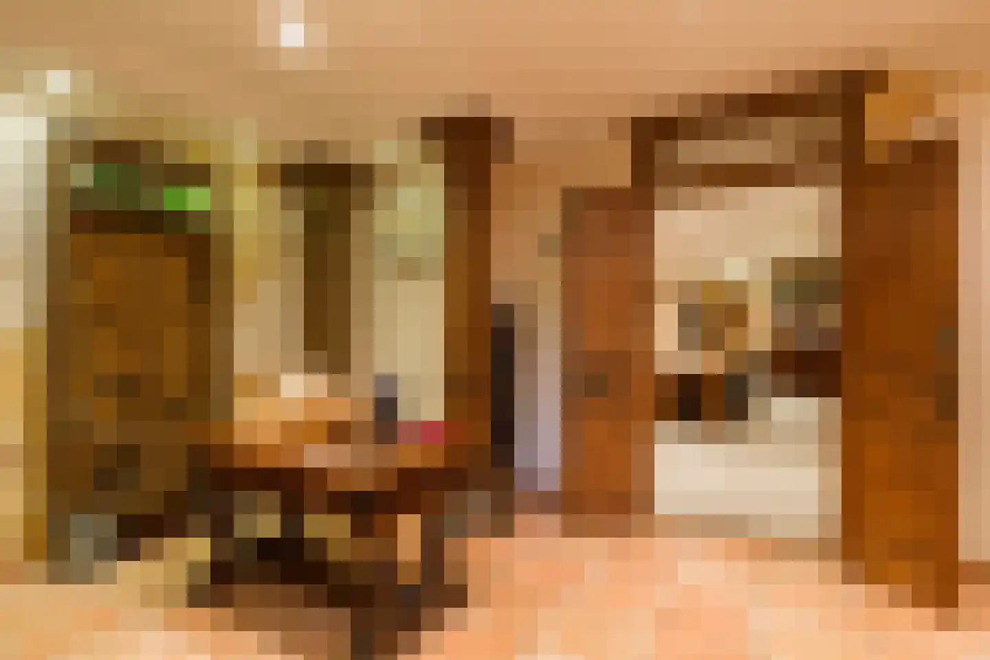 Hendrik Veenemanstraat 55 Son en Breugel thumbnail 34