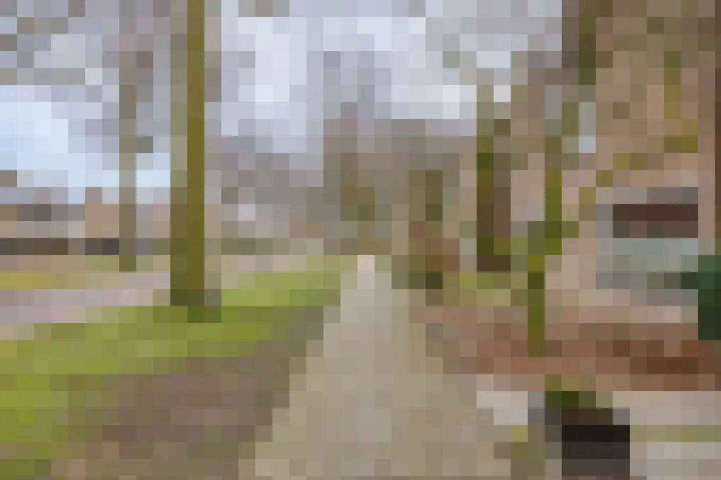 Hendrik Verheeslaan 14 Boxtel thumbnail 29