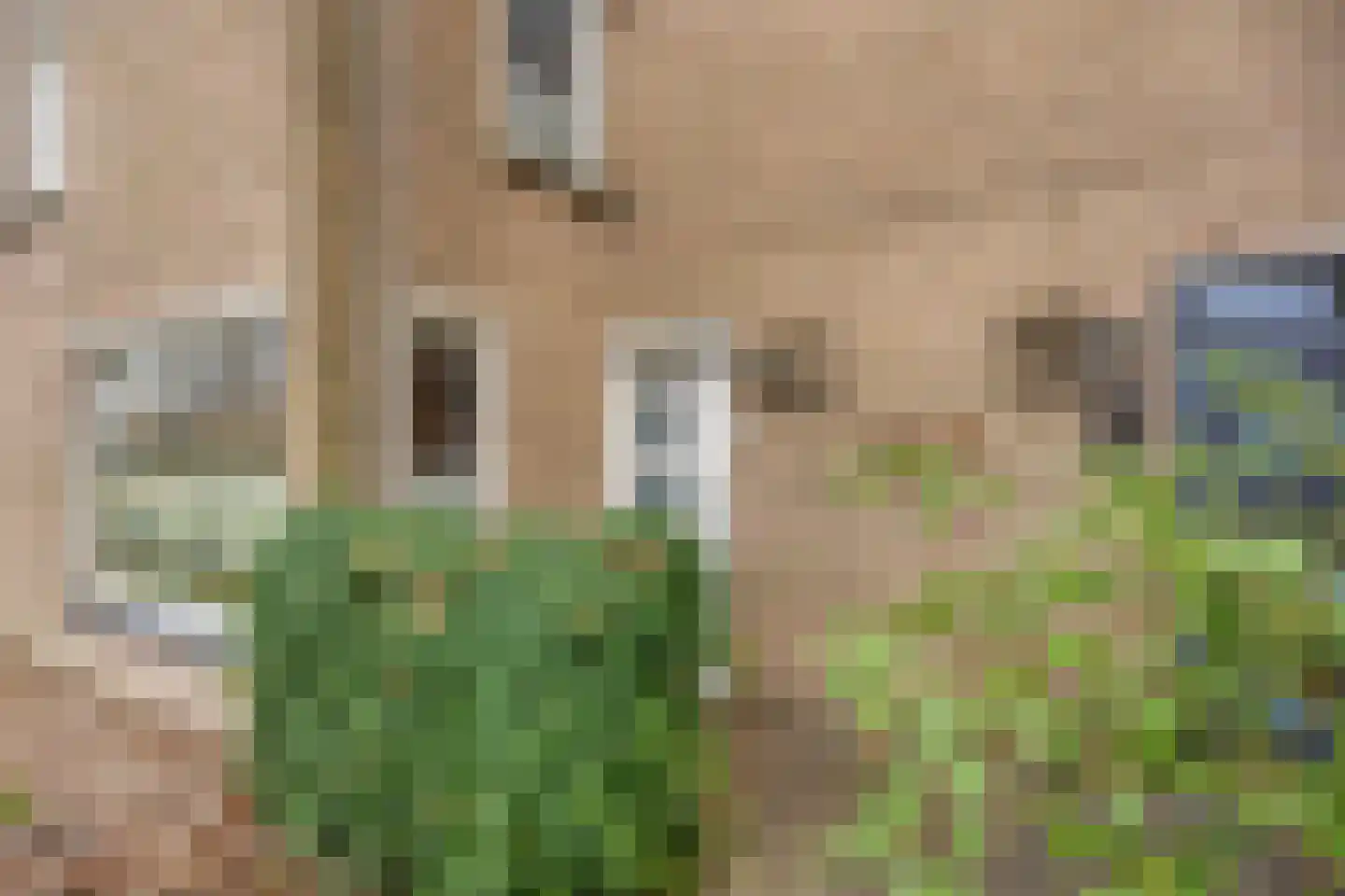 Hendrik Verheeslaan 14 Boxtel thumbnail 31