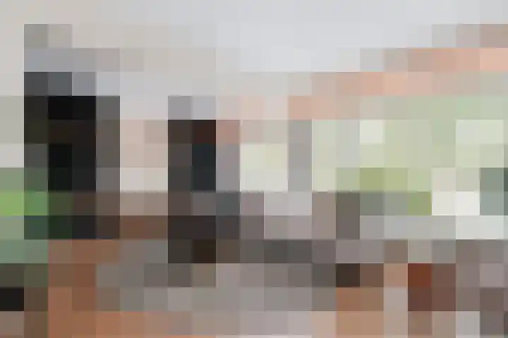 Hendrik Verheeslaan 19 Boxtel thumbnail 15