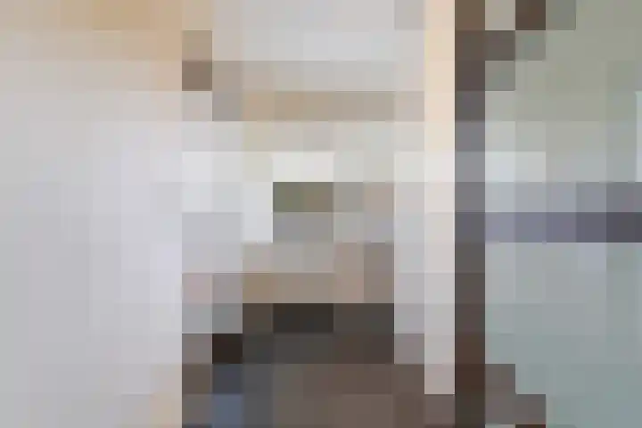 Hendrik Verheeslaan 19 Boxtel thumbnail 32