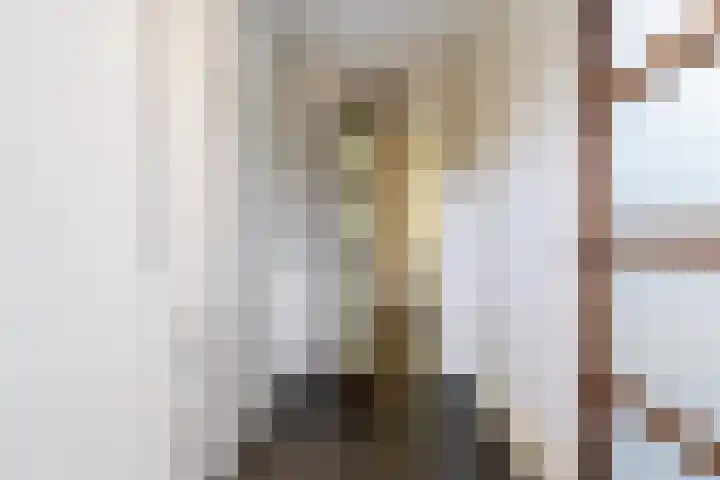 Hendrik Verheeslaan 19 Boxtel thumbnail 33