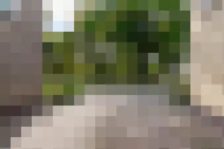 Hendrik Verheeslaan 19 Boxtel thumbnail 4