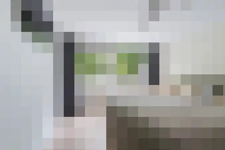 Hendrik Verheeslaan 19 Boxtel thumbnail 42