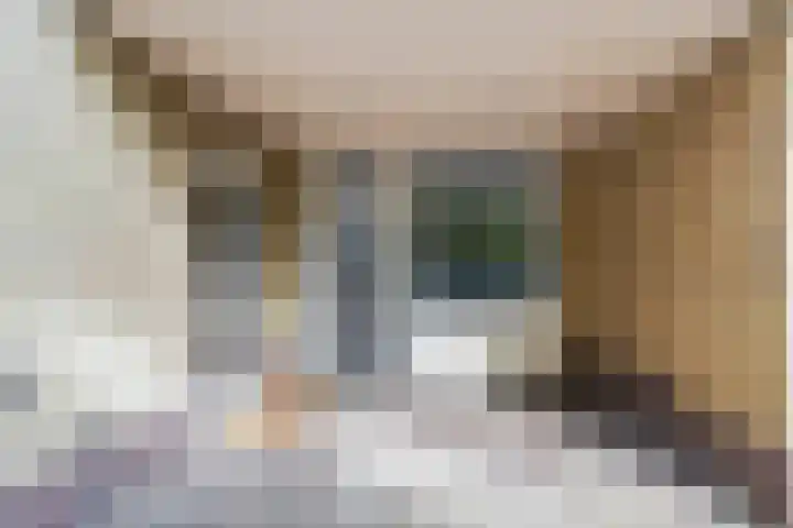 Hendrik Verheeslaan 19 Boxtel thumbnail 5
