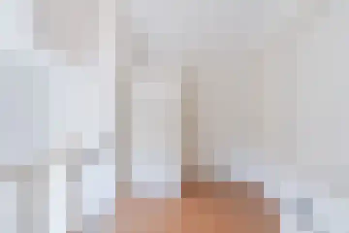 Hendrik Verheeslaan 19 Boxtel thumbnail 52
