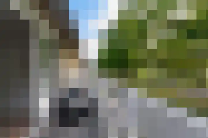 Hendrik Verheeslaan 19 Boxtel thumbnail 58