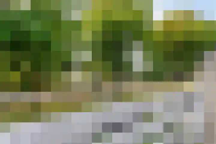 Hendrik Verheeslaan 19 Boxtel thumbnail 59