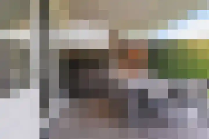 Hendrik Verheeslaan 19 Boxtel thumbnail 60