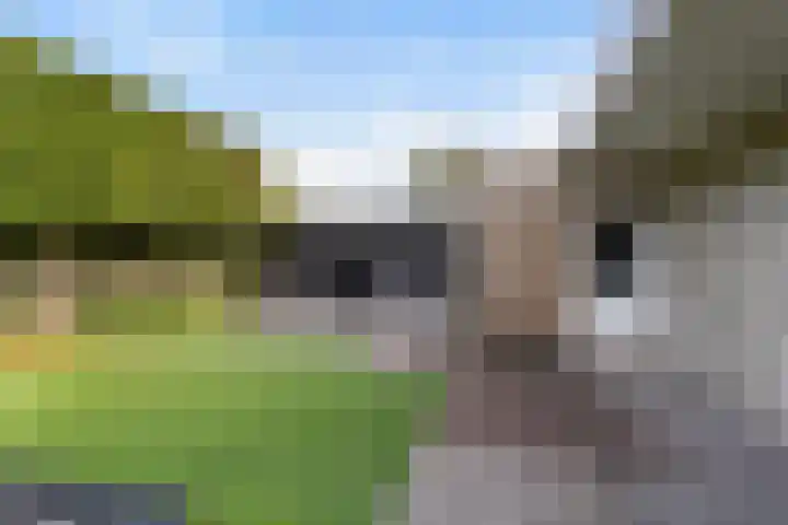 Hendrik Verheeslaan 19 Boxtel thumbnail 62