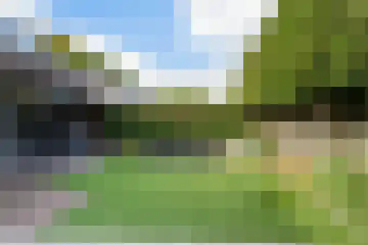 Hendrik Verheeslaan 19 Boxtel thumbnail 64