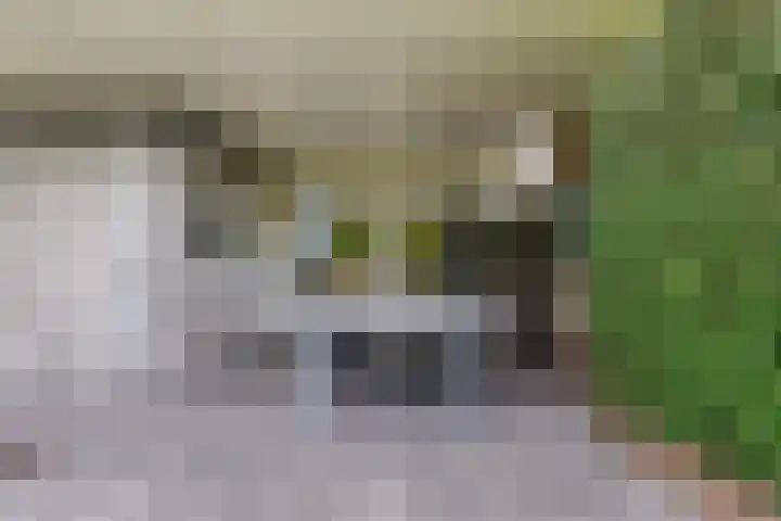 Hendrik Verheeslaan 19 Boxtel thumbnail 66