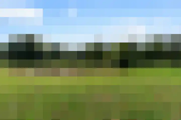 Hendrik Verheeslaan 19 Boxtel thumbnail 67