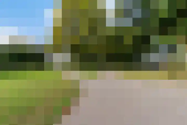 Hendrik Verheeslaan 19 Boxtel thumbnail 68