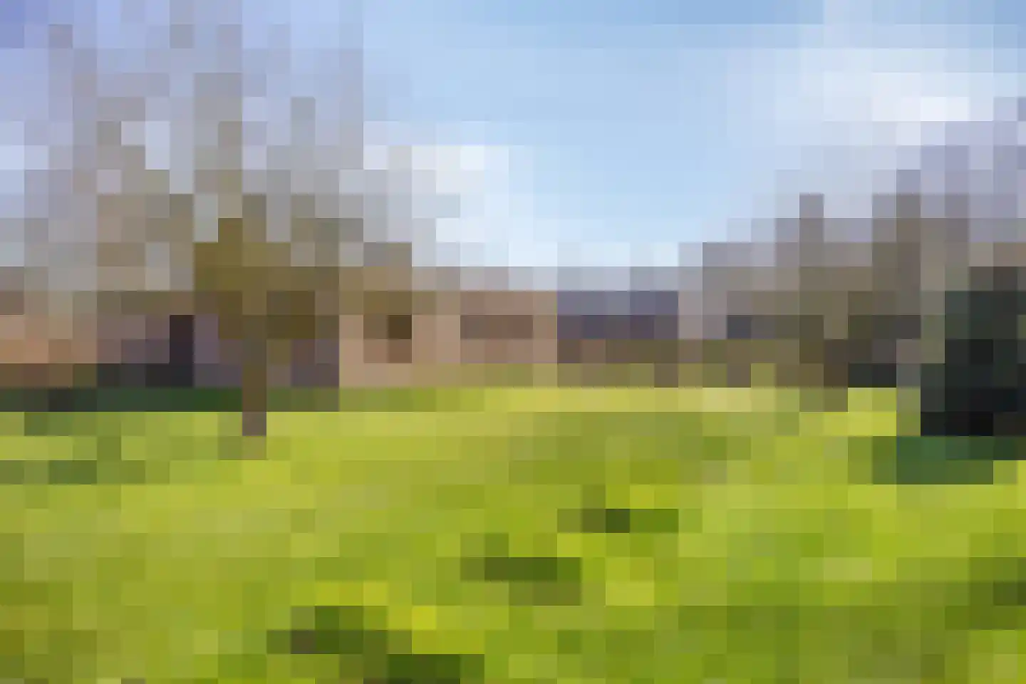 Hendrik Verheeslaan 42 Boxtel thumbnail 38