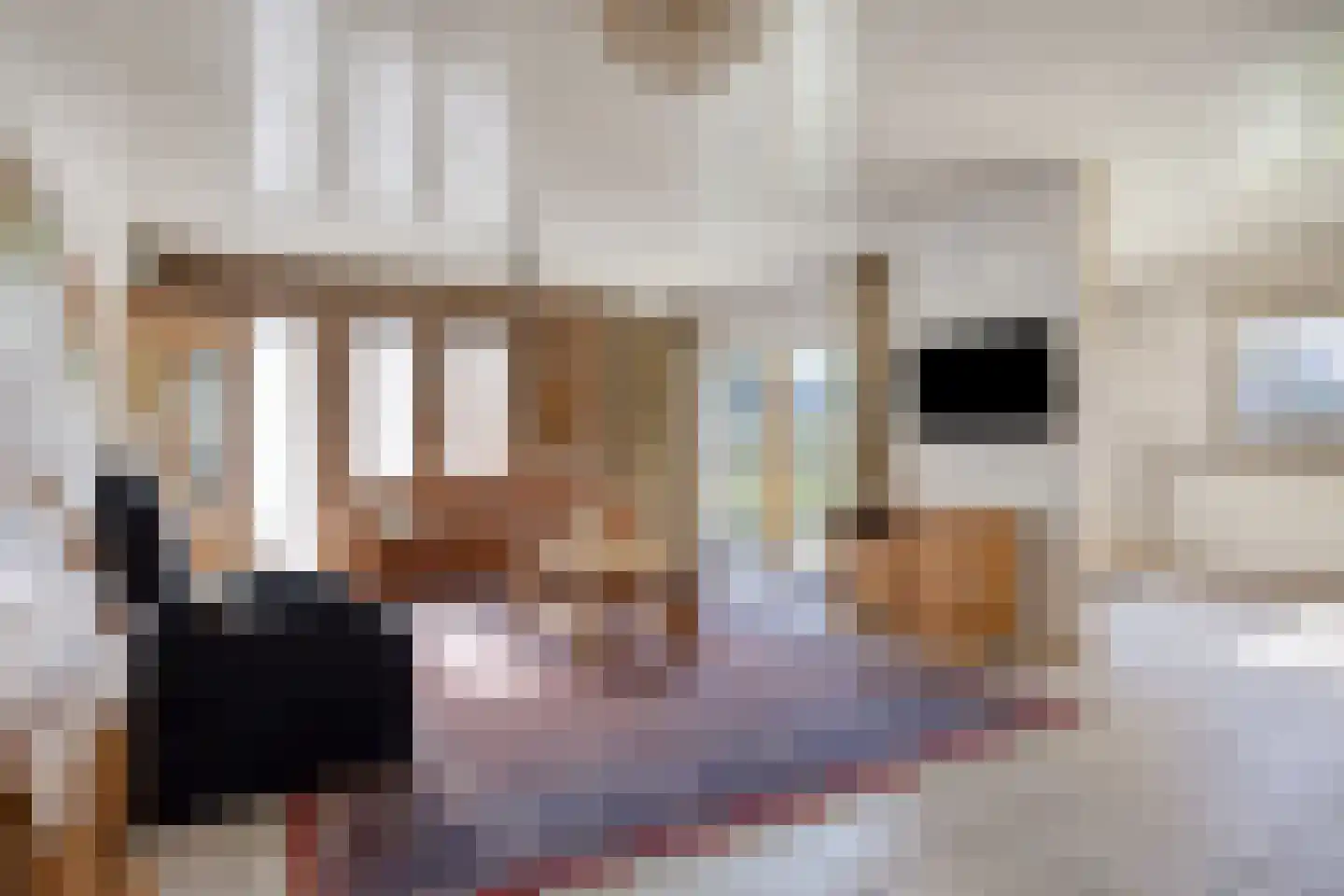Hendrik Verheeslaan 42 Boxtel thumbnail 6