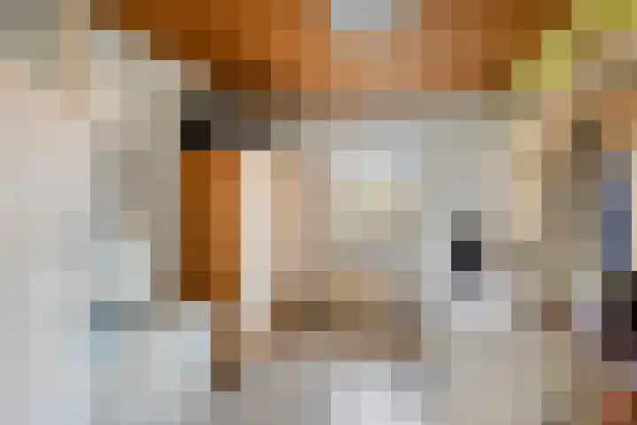 Hendrik Verheeslaan 65 Boxtel thumbnail 15