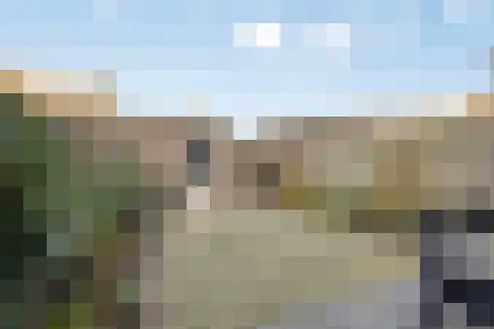 Hendrik Verheeslaan 65 Boxtel thumbnail 18