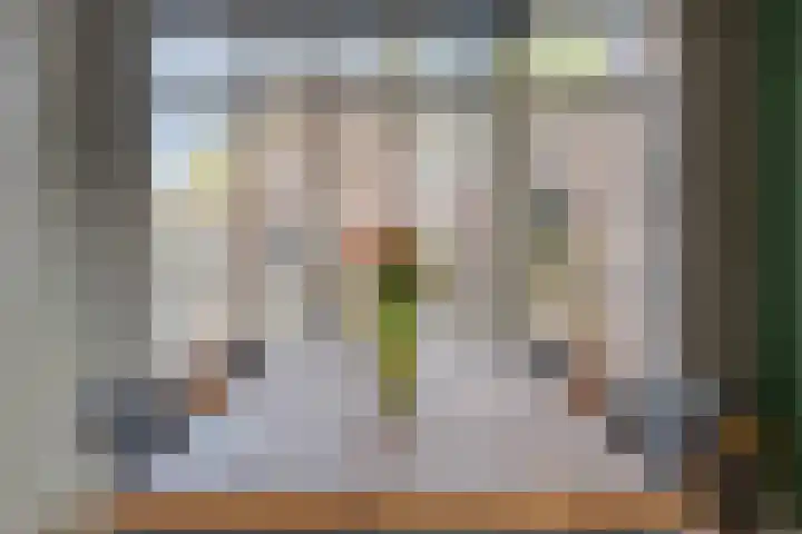 Hendrik Verheeslaan 83 Boxtel thumbnail 16